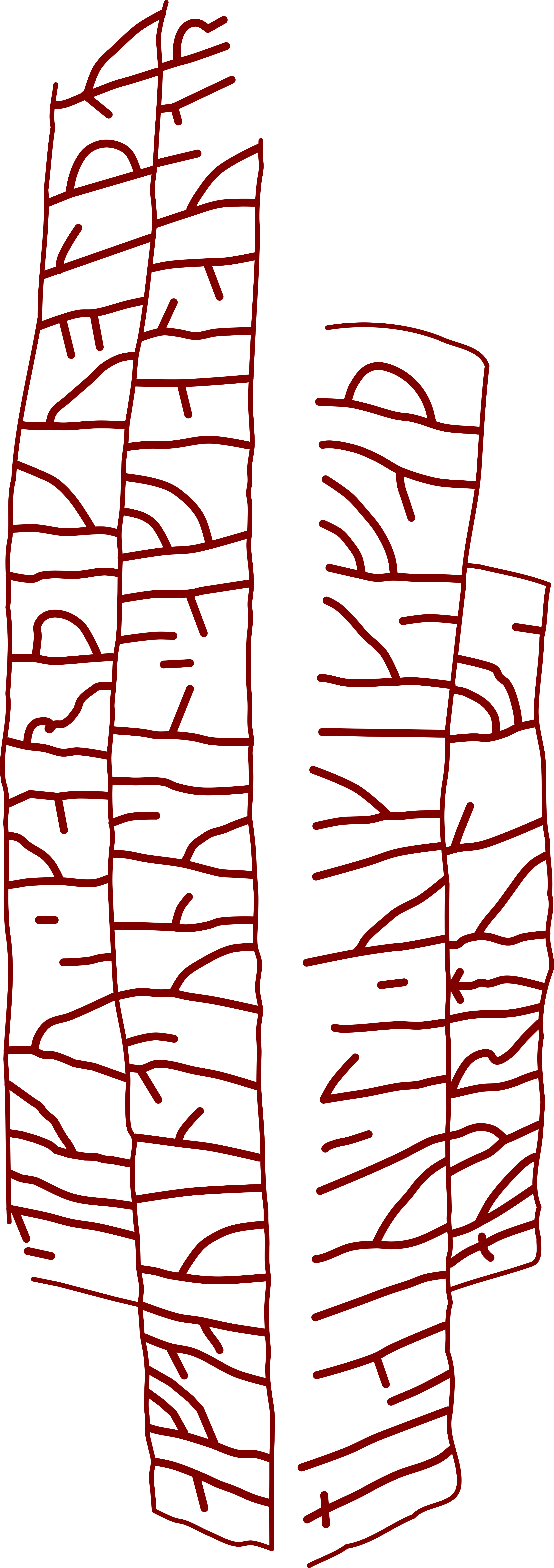 Drawing of the inscription of the runestone Ög 8